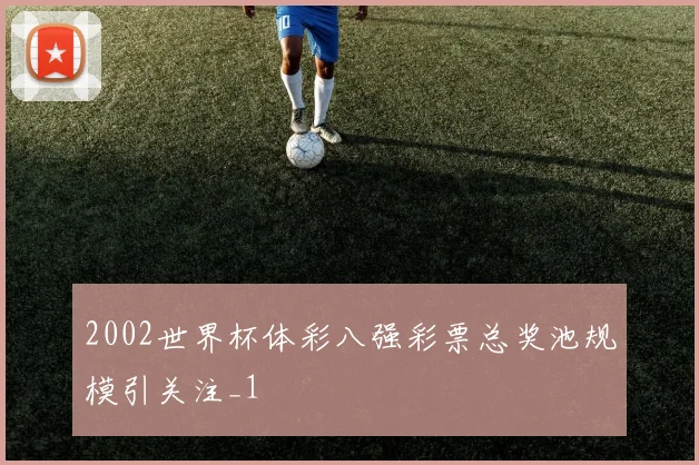 2002世界杯体彩八强彩票总奖池规模引关注_1