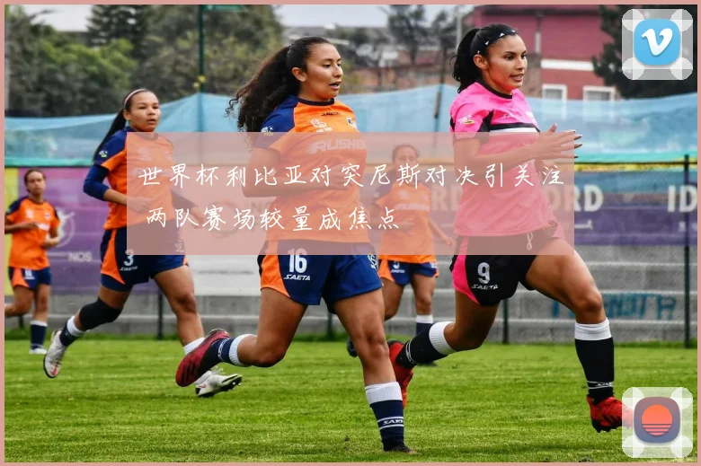世界杯利比亚对突尼斯对决引关注 两队赛场较量成焦点