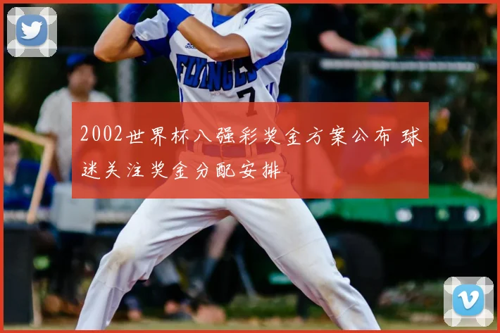 2002世界杯八强彩奖金方案公布 球迷关注奖金分配安排