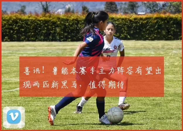 喜讯！鲁能本赛季主力阵容有望出现两匹新黑马，值得期待